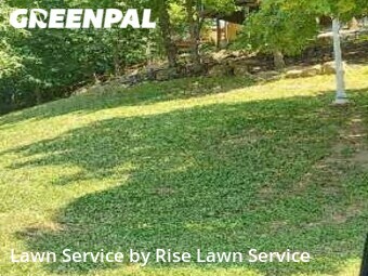 Yard Cutting nearby Davenport, IA, 