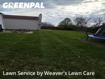 Lawn Mow nearby Indianapolis, IN, 