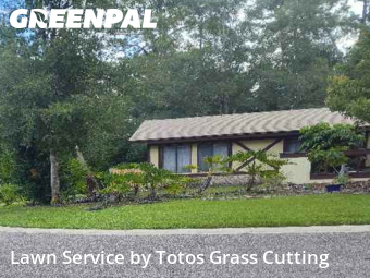 Yard Care Services in Wekiwa Springs, 32779, Yard Care Services by Totos Grass Cutting, work completed in Nov , 2025