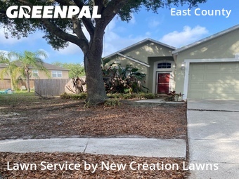 Lawn Mowing nearby Valrico, FL, 