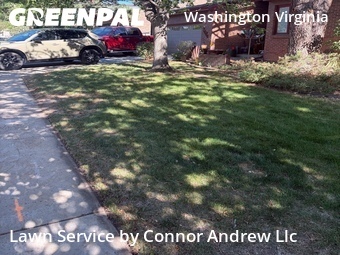 Yard Cutting nearby Denver, CO, 