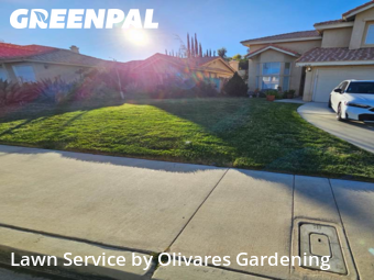 Affordable Landscaping In Palmdale,93550,Landscape Design by Olivares Gardening , work completed in Dec , 2025
