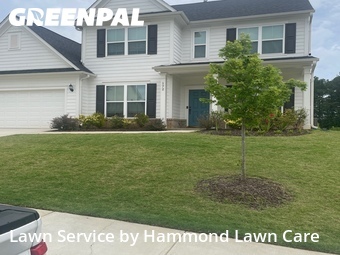 Lawn Mow nearby Acworth, GA, 
