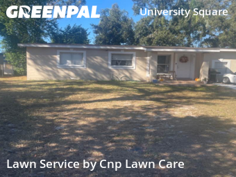 Yard Mowing nearby Tampa, FL, 