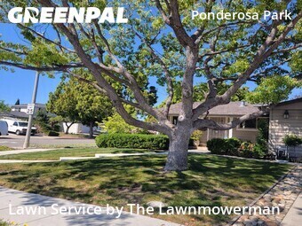 Lawn Mow nearby Sunnyvale, CA, 