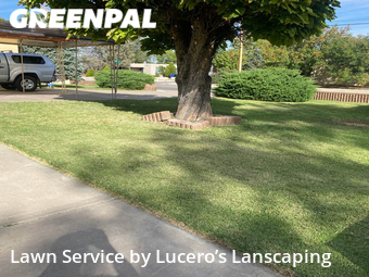 Lawn Mowing Service nearby Albuquerque, NM, 