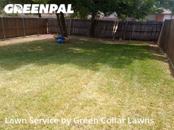 Lawn Cut nearby Arlington, TX, 