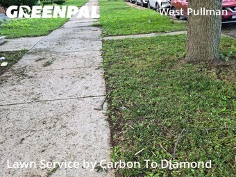 Lawn Care nearby Chicago, IL, 