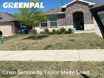 Lawn Cut nearby Denton, TX, 