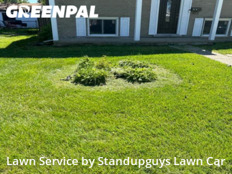 Yard Mowing nearby Warren, MI, 