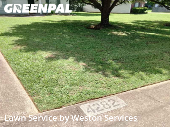Lawn Care nearby Bessemer, AL, 