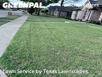 Residential Landscaping In Frisco,75035,Landscaping Cleanup by Texas Lawnscapes, work completed in Apr , 2026