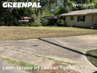 Lawn Mow nearby Little Rock, AR, 