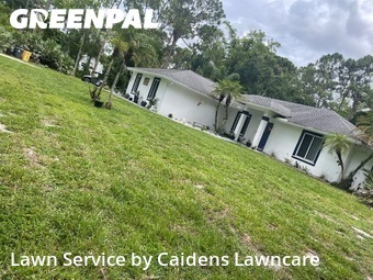 Lawn mowed in West Palm Beach, 33412