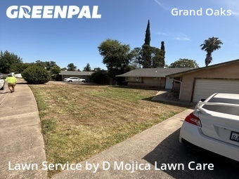 Grass Cut nearby Citrus Heights, CA, 
