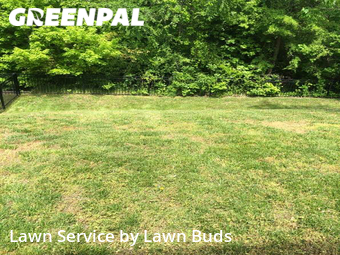 Lawn Cut nearby Charlotte, NC, 
