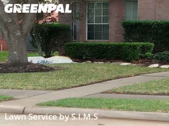 Lawn Mow nearby Sugar Land, TX, 