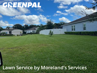 Grass Cutting nearby St. Augustine, FL, 