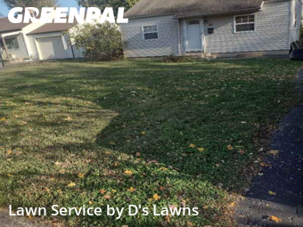 Grass Cutting nearby Louisville, KY, 