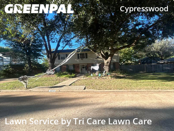 Lawn Care nearby Spring, TX, 