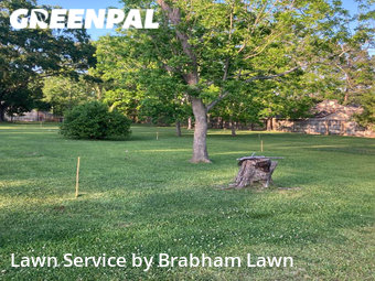 Lawn Care nearby Baton Rouge, LA, 