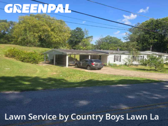 Grass Cut nearby Mount Carmel, TN, 