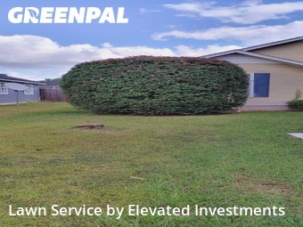 Grass Services in Valdosta, 31605, Yard Services by Elevated Investments, work completed in Nov , 2025