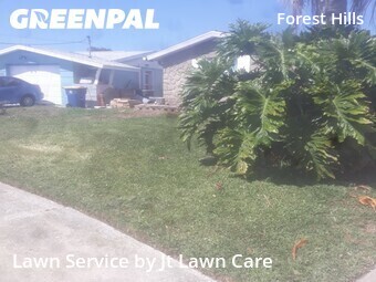 Lawn Cut nearby Holiday, FL, 