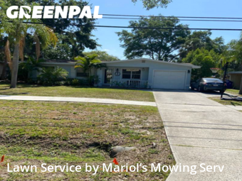 Lawn Cutting nearby Oldsmar, FL, 
