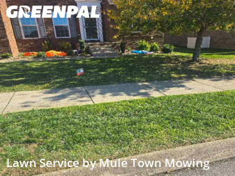 Lawn Cutting in Nolensville, 37135, Lawn Cutting by Mule Town Mowing , work completed in Dec , 2025
