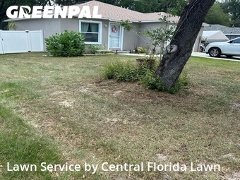 Yard Mowing nearby Winter Haven, FL, 