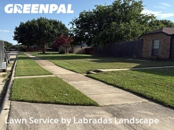 Grass Cut nearby The Colony, TX, 