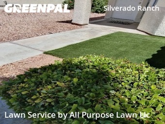 Lawn Care Service nearby Las Vegas, NV, 