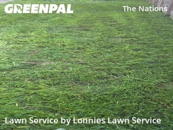 Lawn Mowing Servicein Nashville,37209,Grass Cutting by Lonnies Lawn Service, work completed in Jun , 2026
