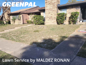Lawn Care Servicein Dallas,75228,Lawn Maintenance by MALDEZ RONAN, work completed in Dec , 2025
