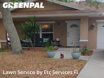 Lawn Maintenancein Clearwater,33755,Lawn Cutting by Etc Services Fl, work completed in Jun , 2026