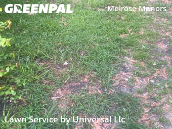 Lawn Mowing Service nearby Fort Lauderdale, FL, 
