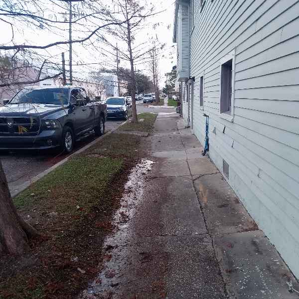 Affordable Landscaping Maintenance Services In New Orleans,70125,Landscaping Installation by Louisiana Lawn Care , work completed in Jan , 2026