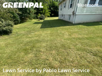 Grass Cut nearby Arlington, VA, 