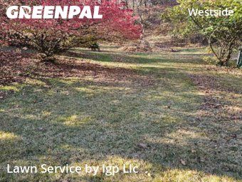 Grass Cut nearby Evansville, IN, 