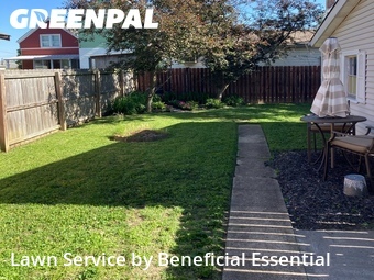 Lawn Cut nearby Cincinnati, OH, 