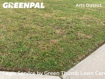 Lawn Carein Irving,75062,Grass Cutting by Green Thumb Lawn Care, work completed in Jun , 2026