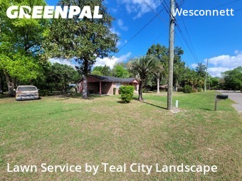 Grass Cut nearby Jacksonville, FL, 