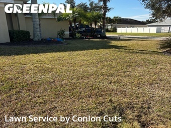 Grass Cutting nearby Palmetto, FL, 