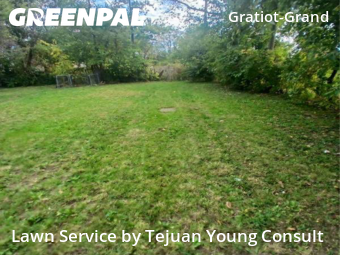 Turf Services in Detroit, 48214, Yard Management by Tejuan Young Consult, work completed in Nov , 2025