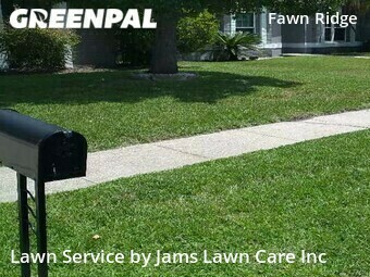 Grass Cutting nearby Tampa, FL, 