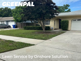 Lawn Cut nearby Palm Harbor, FL, 