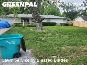 Grass Cut nearby Springfield, MO, 