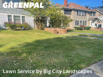 Grass Cut nearby Cleveland Heights, OH, 