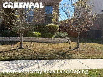 Yard Mowing nearby Cibolo, TX, 